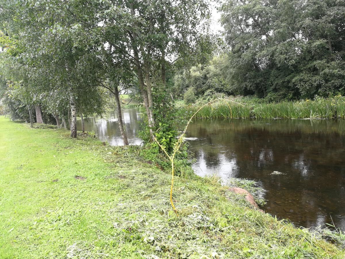 Кемпинги Iecupes wooden cabin with view to river Иецава-10